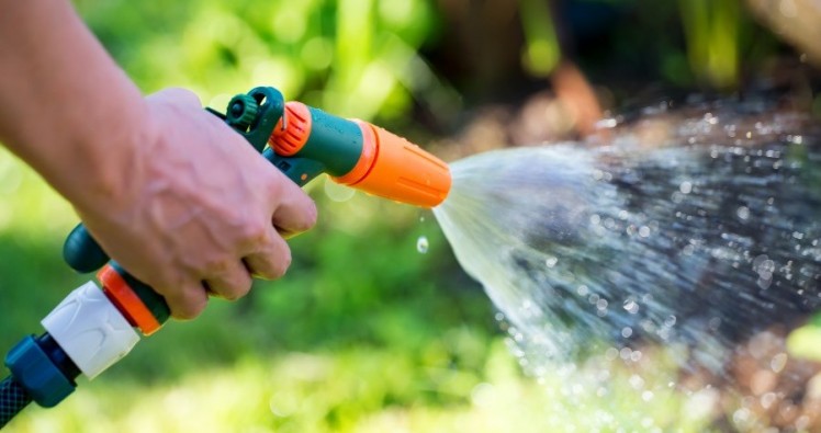 Économisez l’eau! Arrosez votre jardin avec vos eaux grises!